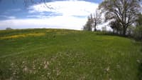 The field cam, May 14, 2023 at 11:51am