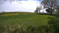The field cam, May 14, 2023 at 12:44pm