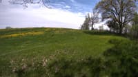 The field cam, May 14, 2023 at 12:53pm