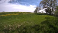 The field cam, May 14, 2023 at 12:58pm