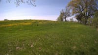 The field cam, May 15, 2023 at 8:36am