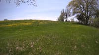 The field cam, May 15, 2023 at 10:53am