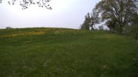 The field cam, May 17, 2023 at 8:15am
