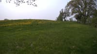 The field cam, May 17, 2023 at 8:24am