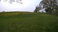 The field cam, May 17, 2023 at 8:31am