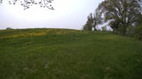 The field cam, May 17, 2023 at 8:34am
