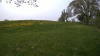 The field cam, May 17, 2023 at 8:35am