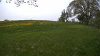 The field cam, May 17, 2023 at 9:21am