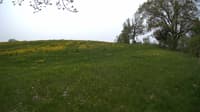 The field cam, May 17, 2023 at 9:35am
