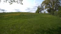 The field cam, May 19, 2023 at 8:04am