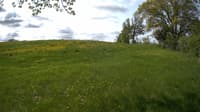 The field cam, May 19, 2023 at 8:23am