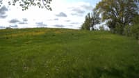 The field cam, May 19, 2023 at 8:28am