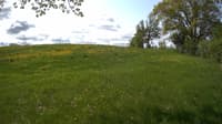 The field cam, May 19, 2023 at 8:33am
