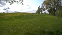 The field cam, May 19, 2023 at 8:35am