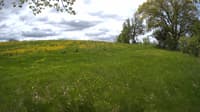 The field cam, May 19, 2023 at 10:00am