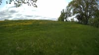 The field cam, May 19, 2023 at 10:08am