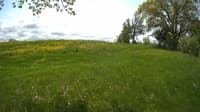 The field cam, May 19, 2023 at 10:10am