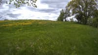 The field cam, May 19, 2023 at 10:26am