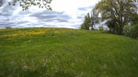 The field cam, May 19, 2023 at 10:44am