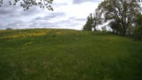 The field cam, May 19, 2023 at 12:24pm