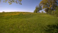 The field cam, May 20, 2023 at 7:05am