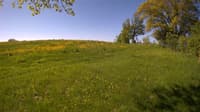 The field cam, May 20, 2023 at 7:22am