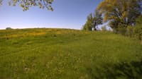The field cam, May 20, 2023 at 7:35am