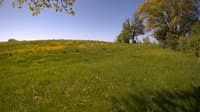 The field cam, May 20, 2023 at 7:51am