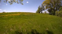 The field cam, May 20, 2023 at 9:21am