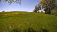 The field cam, May 20, 2023 at 9:24am
