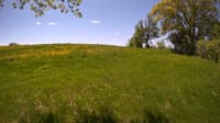 The field cam, May 20, 2023 at 9:43am