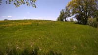 The field cam, May 20, 2023 at 10:21am
