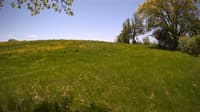 The field cam, May 20, 2023 at 10:34am