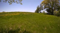 The field cam, May 20, 2023 at 10:46am