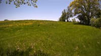 The field cam, May 20, 2023 at 10:55am