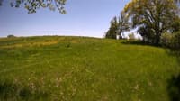 The field cam, May 20, 2023 at 11:49am