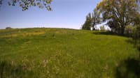 The field cam, May 20, 2023 at 12:01pm