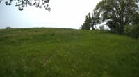 The field cam, May 22, 2023 at 11:05am