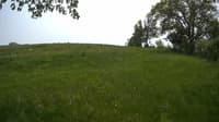 The field cam, May 22, 2023 at 11:27am