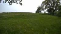 The field cam, May 22, 2023 at 11:36am