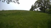The field cam, May 22, 2023 at 11:50am