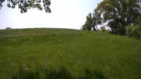 The field cam, May 23, 2023 at 9:46am