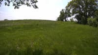 The field cam, May 23, 2023 at 10:11am