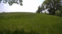 The field cam, May 23, 2023 at 10:19am