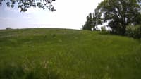 The field cam, May 23, 2023 at 11:22am