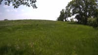 The field cam, May 23, 2023 at 11:31am