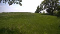 The field cam, May 23, 2023 at 11:35am