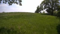The field cam, May 23, 2023 at 11:45am