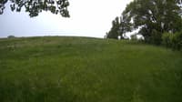 The field cam, May 24, 2023 at 11:37am