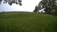 The field cam, May 24, 2023 at 11:46am